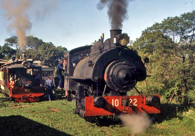 A picture containing train, grass, track, smoke

Description automatically generated
