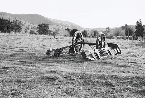 A cannon in a field

Description automatically generated with low confidence